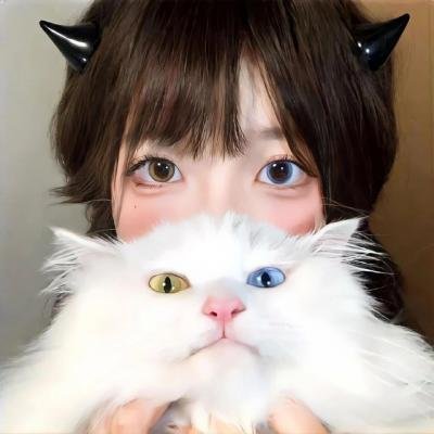 探索青年飞鸟记